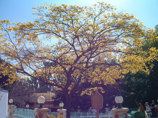 Filename=DSCF2689.JPG
Filesize=1237KiB
Dimensions=2048x1536
Date added=Sep 22, 2019 DSCF2689.JPG