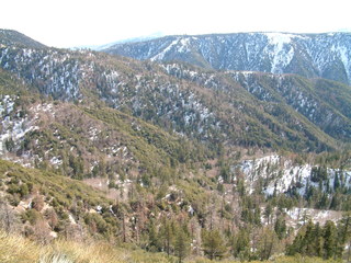 Filename=DSCF2765.JPG
Filesize=1360KiB
Dimensions=2048x1536
Date added=Sep 22, 2019 DSCF2765.JPG