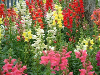 Filename=DSCF2835.JPG
Filesize=1267KiB
Dimensions=2048x1536
Date added=Sep 22, 2019 DSCF2835.JPG