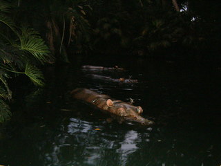 Filename=DSCF2847.JPG
Filesize=1102KiB
Dimensions=2048x1536
Date added=Sep 22, 2019 DSCF2847.JPG