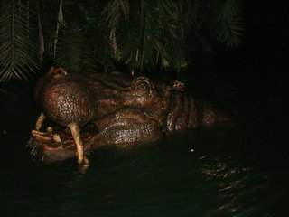 Filename=DSCF2848.JPG
Filesize=1104KiB
Dimensions=2048x1536
Date added=Sep 22, 2019 DSCF2848.JPG