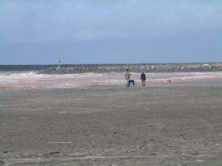 Filename=DSCF2855.JPG
Filesize=1228KiB
Dimensions=2048x1536
Date added=Sep 22, 2019 DSCF2855.JPG