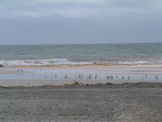 Filename=DSCF2859.JPG
Filesize=1232KiB
Dimensions=2048x1536
Date added=Sep 22, 2019 DSCF2859.JPG