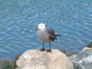 Filename=DSCF2860.JPG
Filesize=1256KiB
Dimensions=2048x1536
Date added=Sep 22, 2019 DSCF2860.JPG