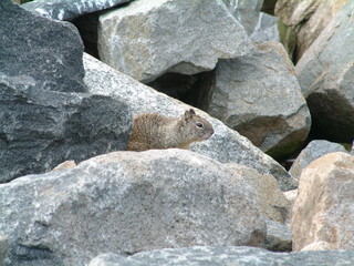 Filename=DSCF2862.JPG
Filesize=1278KiB
Dimensions=2048x1536
Date added=Sep 22, 2019 DSCF2862.JPG