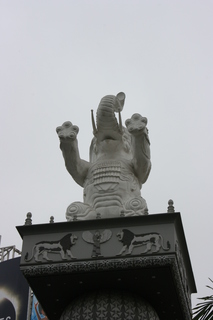 Filename=Jason_May07_039.jpg
Filesize=2854KiB
Dimensions=2592x3888
Date added=Sep 22, 2019 Jason_May07_039.jpg