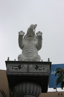 Filename=Jason_May07_040.jpg
Filesize=2894KiB
Dimensions=2592x3888
Date added=Sep 22, 2019 Jason_May07_040.jpg