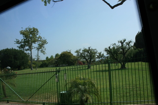 Filename=Jason_May07_159.jpg
Filesize=3645KiB
Dimensions=3888x2592
Date added=Sep 22, 2019 Jason_May07_159.jpg