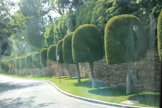 Filename=Jason_May07_201.jpg
Filesize=3797KiB
Dimensions=3888x2592
Date added=Sep 22, 2019 Jason_May07_201.jpg