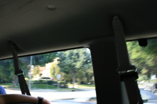 Filename=Jason_May07_226.jpg
Filesize=2430KiB
Dimensions=3888x2592
Date added=Sep 22, 2019 Jason_May07_226.jpg