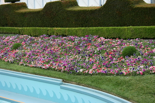 Filename=Jason_May07_246.jpg
Filesize=6438KiB
Dimensions=3888x2592
Date added=Sep 22, 2019 Jason_May07_246.jpg