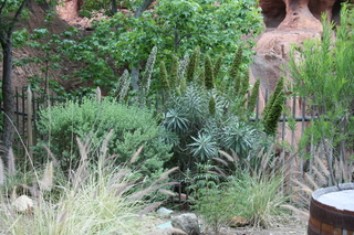 Filename=Jason_May07_255.jpg
Filesize=6456KiB
Dimensions=3888x2592
Date added=Sep 22, 2019 Jason_May07_255.jpg