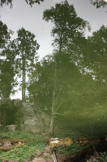 Filename=Jason_May07_257.jpg
Filesize=4187KiB
Dimensions=2592x3888
Date added=Sep 22, 2019 Jason_May07_257.jpg