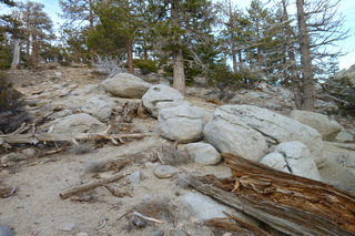 Filename=P1010500.JPG
Filesize=5049KiB
Dimensions=4320x2880
Date added=Sep 23, 2019 P1010500.JPG