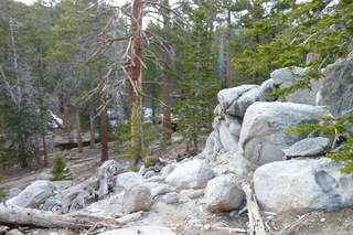 Filename=P1010503.JPG
Filesize=4965KiB
Dimensions=4320x2880
Date added=Sep 23, 2019 P1010503.JPG