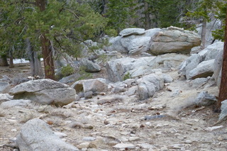 Filename=P1010504.JPG
Filesize=5530KiB
Dimensions=4320x2880
Date added=Sep 23, 2019 P1010504.JPG