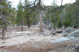 Filename=P1010507.JPG
Filesize=5048KiB
Dimensions=4320x2880
Date added=Sep 23, 2019 P1010507.JPG