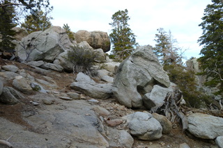 Filename=P1010508.JPG
Filesize=5352KiB
Dimensions=4320x2880
Date added=Sep 23, 2019 P1010508.JPG