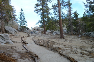 Filename=P1010509.JPG
Filesize=4866KiB
Dimensions=4320x2880
Date added=Sep 23, 2019 P1010509.JPG