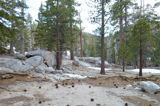 Filename=P1010518.JPG
Filesize=5037KiB
Dimensions=4320x2880
Date added=Sep 23, 2019 P1010518.JPG