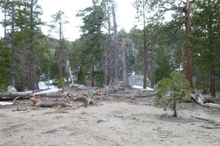 Filename=P1010519.JPG
Filesize=5034KiB
Dimensions=4320x2880
Date added=Sep 23, 2019 P1010519.JPG