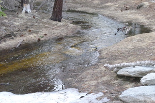 Filename=P1010523.JPG
Filesize=5606KiB
Dimensions=4320x2880
Date added=Sep 23, 2019 P1010523.JPG