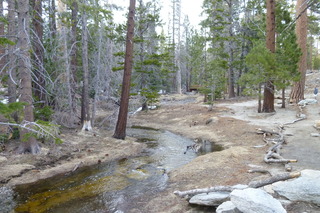 Filename=P1010524.JPG
Filesize=4961KiB
Dimensions=4320x2880
Date added=Sep 23, 2019 P1010524.JPG