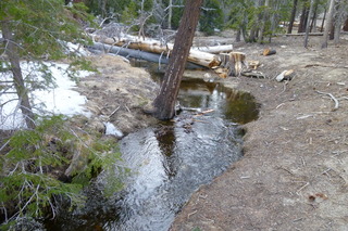 Filename=P1010529.JPG
Filesize=5166KiB
Dimensions=4320x2880
Date added=Sep 23, 2019 P1010529.JPG