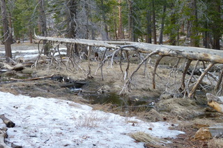 Filename=P1010533.JPG
Filesize=5039KiB
Dimensions=4320x2880
Date added=Sep 23, 2019 P1010533.JPG