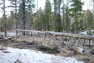 Filename=P1010535.JPG
Filesize=5160KiB
Dimensions=4320x2880
Date added=Sep 23, 2019 P1010535.JPG