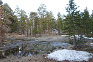 Filename=P1010543.JPG
Filesize=5452KiB
Dimensions=4320x2880
Date added=Sep 23, 2019 P1010543.JPG