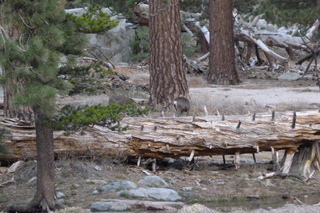 Filename=P1010545.JPG
Filesize=4808KiB
Dimensions=4320x2880
Date added=Sep 23, 2019 P1010545.JPG