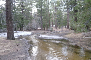 Filename=P1010547.JPG
Filesize=5405KiB
Dimensions=4320x2880
Date added=Sep 23, 2019 P1010547.JPG