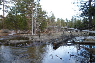 Filename=P1010548.JPG
Filesize=5702KiB
Dimensions=4320x2880
Date added=Sep 23, 2019 P1010548.JPG