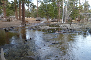 Filename=P1010549.JPG
Filesize=5381KiB
Dimensions=4320x2880
Date added=Sep 23, 2019 P1010549.JPG