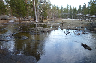 Filename=P1010550.JPG
Filesize=5275KiB
Dimensions=4320x2880
Date added=Sep 23, 2019 P1010550.JPG