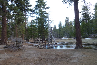 Filename=P1010551.JPG
Filesize=5579KiB
Dimensions=4320x2880
Date added=Sep 23, 2019 P1010551.JPG