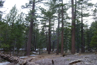 Filename=P1010555.JPG
Filesize=5670KiB
Dimensions=4320x2880
Date added=Sep 23, 2019 P1010555.JPG