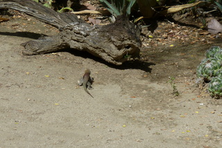 Filename=P1010564.JPG
Filesize=5274KiB
Dimensions=4320x2880
Date added=Sep 23, 2019 P1010564.JPG