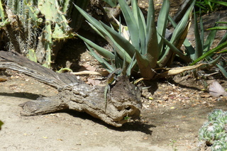 Filename=P1010565.JPG
Filesize=5306KiB
Dimensions=4320x2880
Date added=Sep 23, 2019 P1010565.JPG