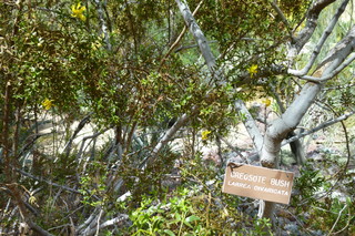 Filename=P1010567.JPG
Filesize=5207KiB
Dimensions=4320x2880
Date added=Sep 23, 2019 P1010567.JPG