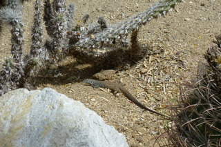 Filename=P1010584.JPG
Filesize=4988KiB
Dimensions=4320x2880
Date added=Sep 23, 2019 P1010584.JPG