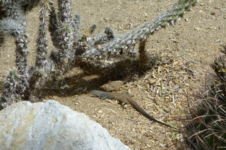 Filename=P1010585.JPG
Filesize=4972KiB
Dimensions=4320x2880
Date added=Sep 23, 2019 P1010585.JPG