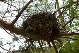 Filename=P1010586.JPG
Filesize=5357KiB
Dimensions=4320x2880
Date added=Sep 23, 2019 P1010586.JPG