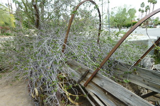 Filename=P1010596.JPG
Filesize=5404KiB
Dimensions=4320x2880
Date added=Sep 23, 2019 P1010596.JPG