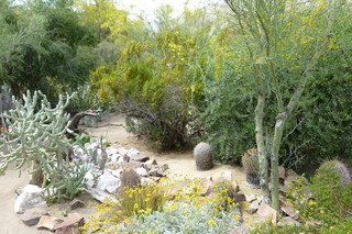 Filename=P1010597.JPG
Filesize=5222KiB
Dimensions=4320x2880
Date added=Sep 23, 2019 P1010597.JPG