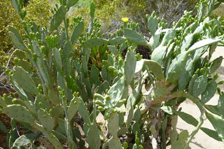 Filename=P1010609.JPG
Filesize=5026KiB
Dimensions=4320x2880
Date added=Sep 23, 2019 P1010609.JPG