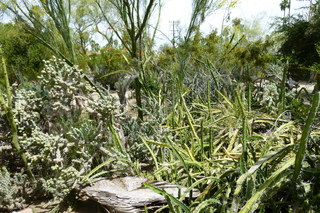 Filename=P1010613.JPG
Filesize=5236KiB
Dimensions=4320x2880
Date added=Sep 23, 2019 P1010613.JPG