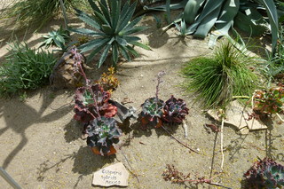 Filename=P1010614.JPG
Filesize=5045KiB
Dimensions=4320x2880
Date added=Sep 23, 2019 P1010614.JPG