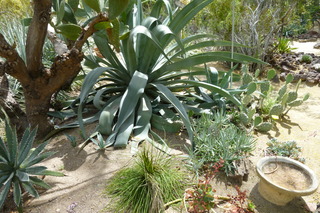 Filename=P1010615.JPG
Filesize=4917KiB
Dimensions=4320x2880
Date added=Sep 23, 2019 P1010615.JPG